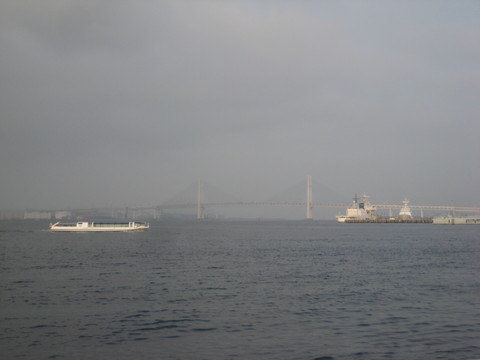 128.jpg