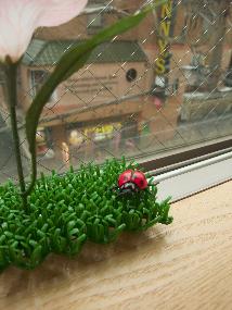 dscf0272_p.jpg