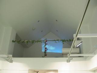 img20081109_p.jpg