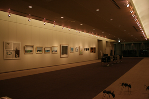 img20090821_1_p.jpg