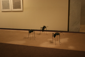 img20090821_p.jpg